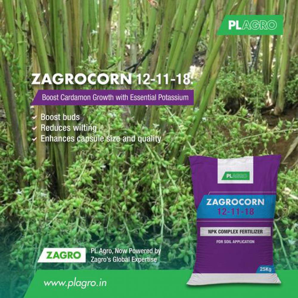 Boost Your Cardamom Harvest with the Right Fertilizer